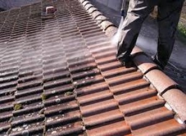 Démoussage de toiture, couverture à Épinal à Épinal