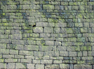 Démoussage de façade en pierre à Lorient