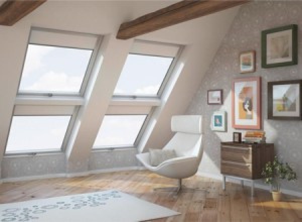 Remplacement de fenêtre de toit à Venterol