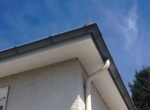 Installation ou remplacement de cache moineaux en bois à La Chapelle-aux-Lys