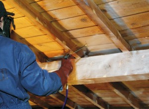 Traitement de bois curatif à Saint-Loup